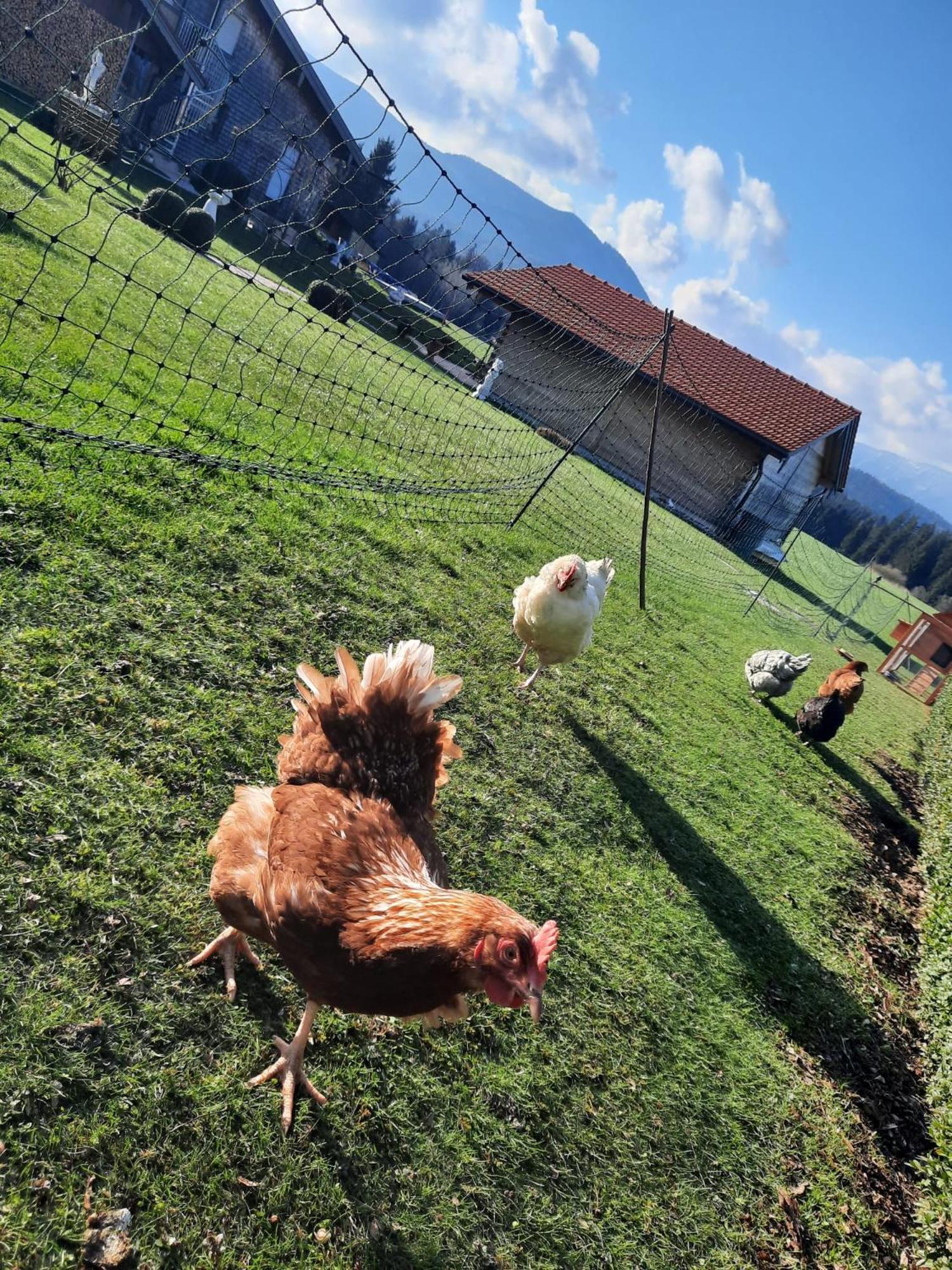Ferienwohnung Am Wirtshof Siegsdorf Luaran gambar